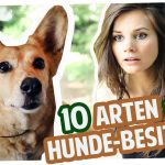 10 Arten von Hunde-Besitzern | Joyce